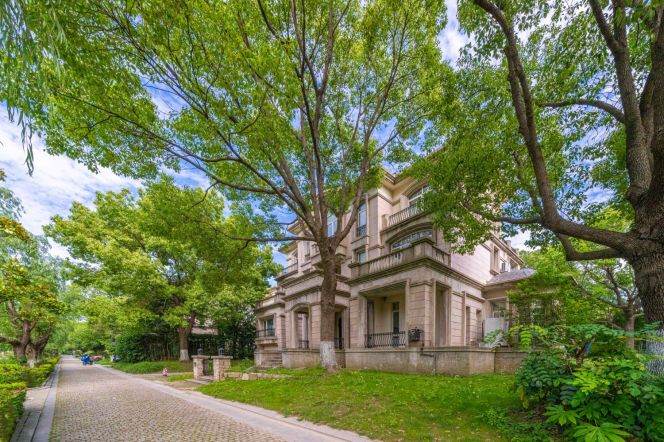 Buckingham Palace Villa@Pudong 5br/5bt 535sqm with large private garden and terrace