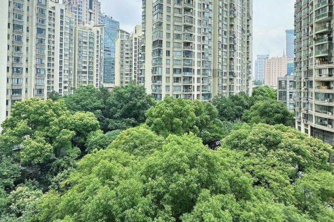 modern 4brs floor heating balcony near west nan jing road CBD line 2,12,13 only 34K 