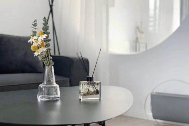 Cozy 1Br/1Lr/1Bt Close to L2/3/4 Zhongshan Park Station 