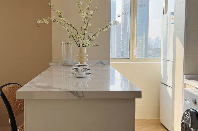 Good Daylight 1br on Middle Huaihai Rd | South Shanxi Road St,metro L1/10/12/13