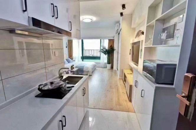 1 br near L2/L7 jing'an temple staion+elevator