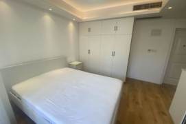 1 br near L2/L12/L13 west nanjing rd station+lift