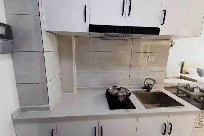 1 br near L2/L7 jing'an temple staion+elevator