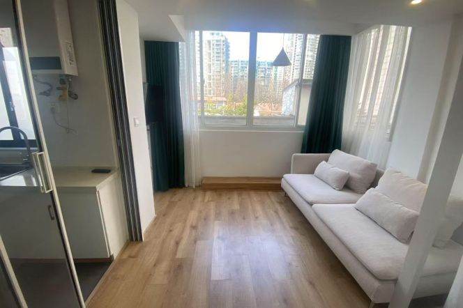 1 br near L2/L12/L13 west nanjing rd station+lift