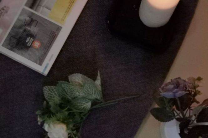 Spacious 3br apt,floor heating,close to Korean Town,SUIS,good price