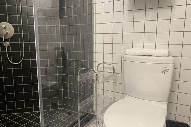 2BR 3Baths in Xujiahui area near Jiao'tong Uni can long and short term lease