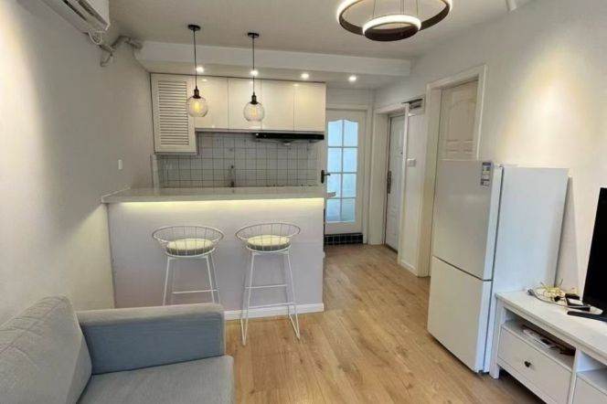 Open Kitchen 1+1br @Line 10/11 Jiaotong University,Shanghai Library St.