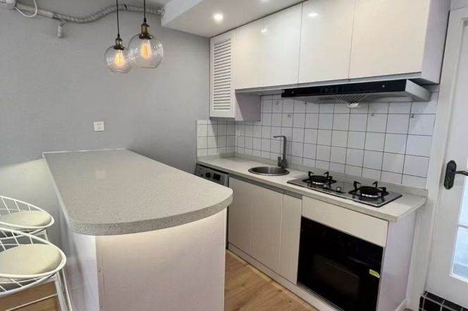 Open Kitchen 1+1br @Line 10/11 Jiaotong University,Shanghai Library St.