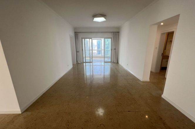 Modern 4brs with balcony in in Xintiandi