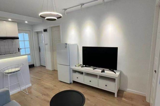 Open Kitchen 1+1br @Line 10/11 Jiaotong University,Shanghai Library St.