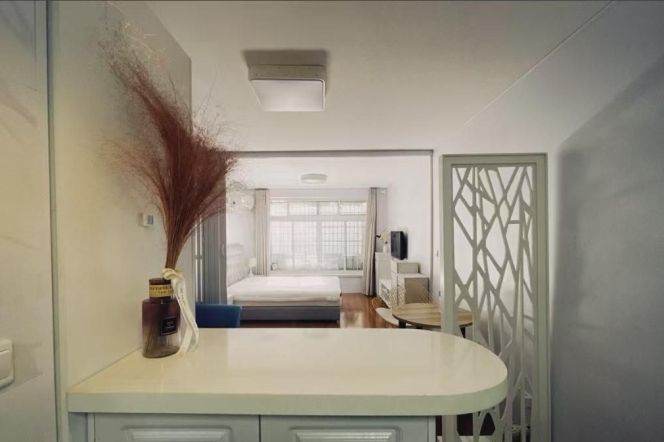 Cozy 1br on JuLu rd, easy to L 2/7 Jing'an Temple + L 1/10/12 South ShaanXi Rd St.