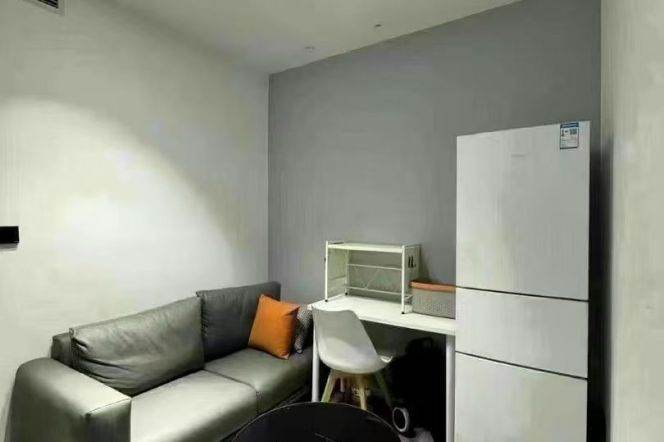  Spacious-Fashion-near the Jingan Monastery-lift-1Br-1lvr-Jiangning rd/Jingan area/L7/13