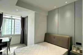  Spacious-Fashion-near the Jingan Monastery-lift-1Br-1lvr-Jiangning rd/Jingan area/L7/13