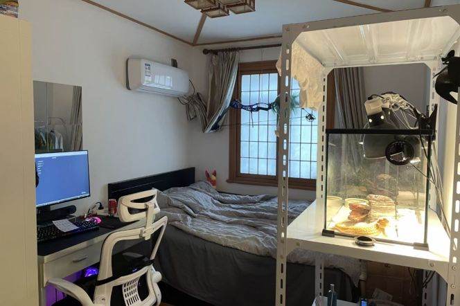 Cozy bright centre room Jiaotong university 10/11 hong qiao Lu 3/4 DHU