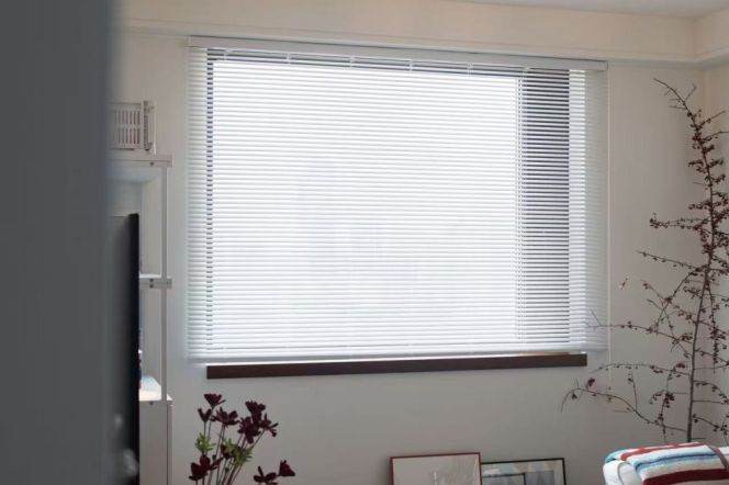 Wuzhong Unit -1bed - aesthetic home- elevator @ line 1/7 Changshu Road 