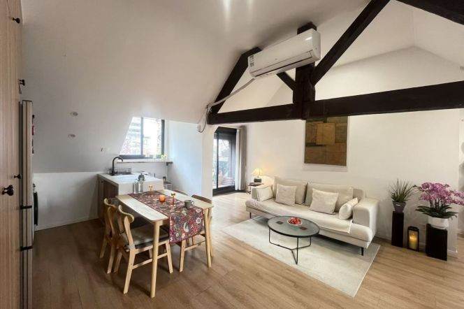High ceiling 1Br/1Lr/1Bt apt nr West nanjing rd,M2/7/12/13