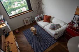 Wuzhong Unit -1bed - aesthetic home- elevator @ line 1/7 Changshu Road 