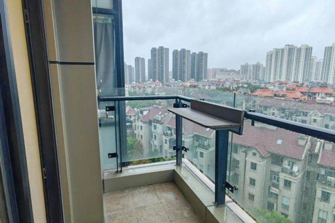 Nice 1 br with open view near LuJiaZui,  3 mins walking to L 14 YuanShen Rd st.