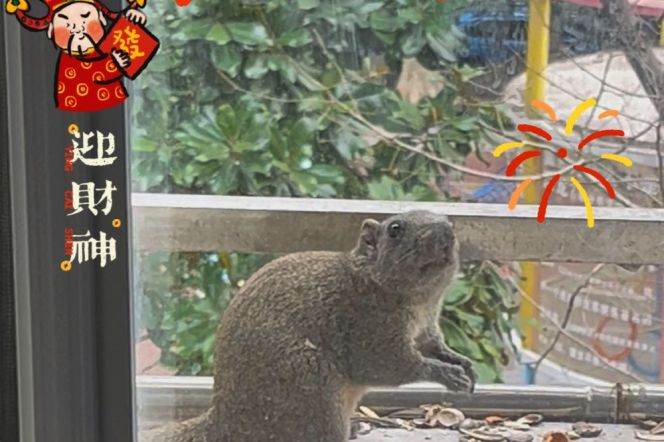 One-bedroom cozy apartment in the Huashan Road