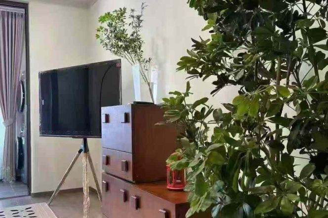 Spacious-Fashion-lift-2Br-1cloakroom-Langao rd/Putuo area/L7