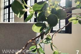 Quiet&Tidy Historical Building/Line 10/12 MT/Suzhou Creek/Stairs/Large Storages/Heater/Cozy1br