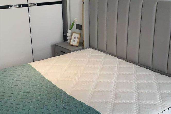 Spacious-Fashion-lift-near the Jiangan Monastery-1Br-1lvr-Jiangning rd-Jingan area/L7/13