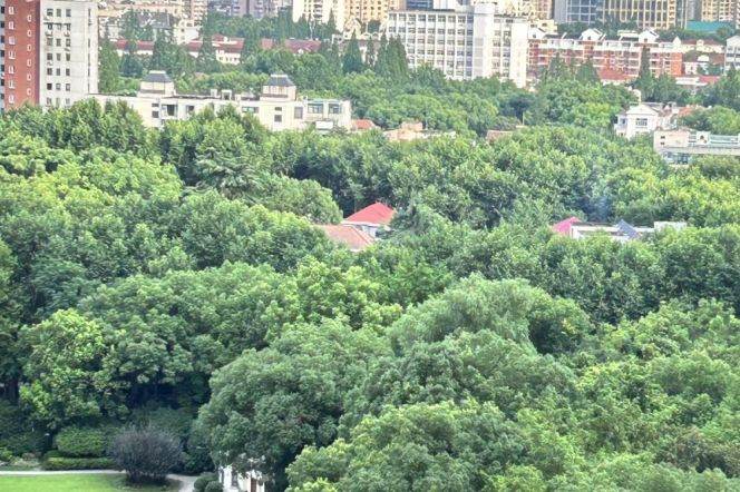 1Balcony, 3Br 2Ba 146Sqm, L2/11 Jiangsu rd.