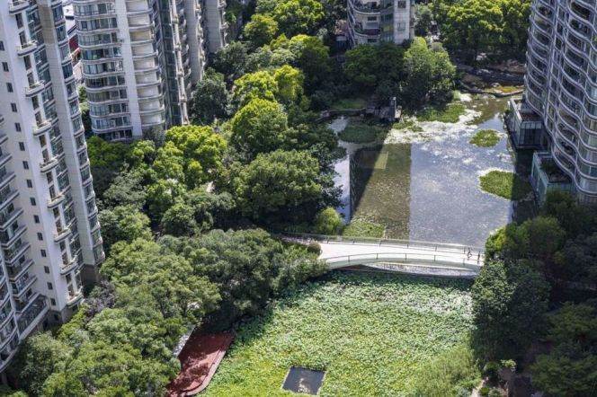 Modern 2BR High-Rise with Lake Views at Top of City/W.Nanjing Station