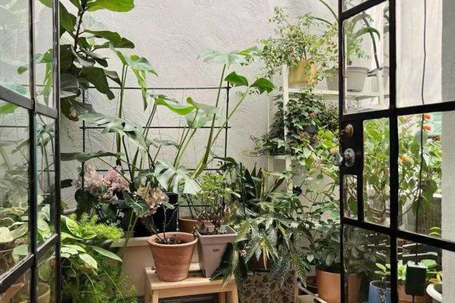 Wukang Rd 1Br+Cloakroom+Sunnyroom Line10/11