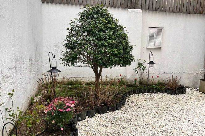 Secluded 2BR+Sunroom Garden Home Steps from Jing'an Temple