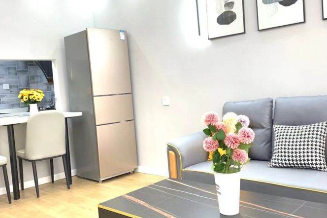 loushanguan rd elevator 1BR/living room@L2/15