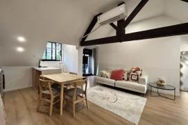 Very high ceiling 1BR +open balcony | Jing'an Temple and West Nanjing rd Mt