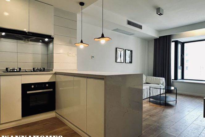 Elevator building 1bedr+balcony with floor heating INrXujiahui Metro