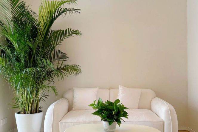 Valuable Fuxing/Fenyang Rd 2BR with Garden 10.8K   