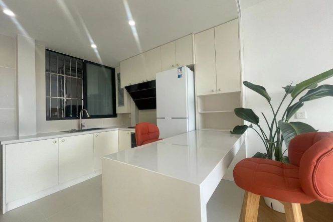 Elevator Spacious 1Br/2Lr/1Bt Close to L2/3/4 Zhongshan Park Station 