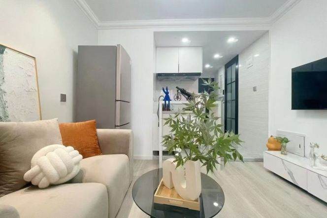 Modern 1Br/2Lr/1Bt 2mins walking Distance to L2/11 Jiangsu Rd Station 