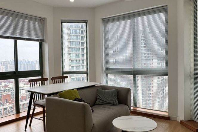 Skyline view 1Br1bathr 65Sqm + Scenic windows | Zhongshan Park & Loushanguan rd Mt