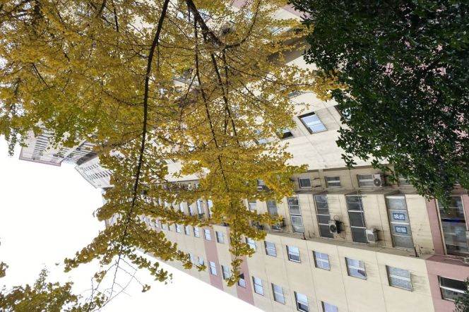 Bright 3BR 2Ba Apa in Huangpu – Quiet Compound/Parking/Near Madang Rd Metro, Lujiabang Rd& Xin Tindi