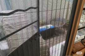 1 br near L10/L11 jiaotong uni station+floor heating+yard