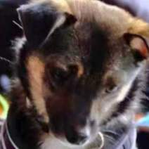 Rascals Spring Meet Up 