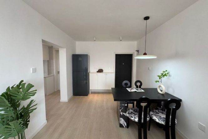 Nice 2bedrooms elevator Apt with central AC near L2/11Jiangsu Rd