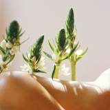 Under the Sunlight, There is No True Intimacy by No.223