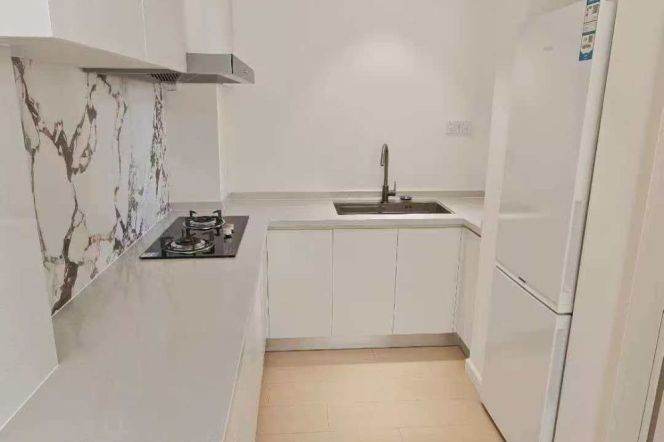 Elegant brand new 1br apt, close to Line 2