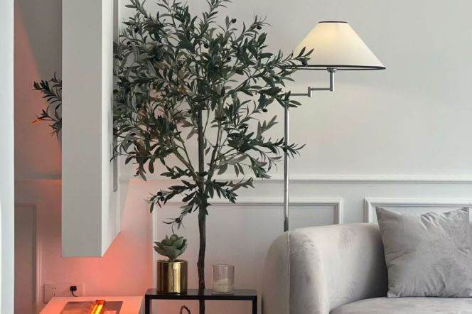 Good lighting 2brs with high rise near Jiaotong University