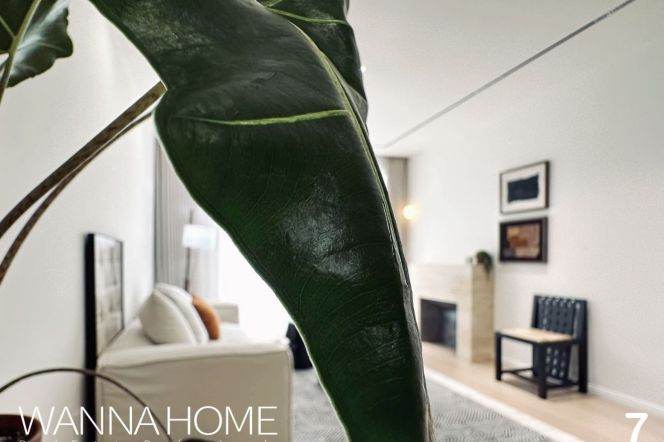 Lovely Open Balcony/Line 4/7/12 MT/Xuhui Riverside/Stairs/Large Storages/Heater/Cozy2br2bt