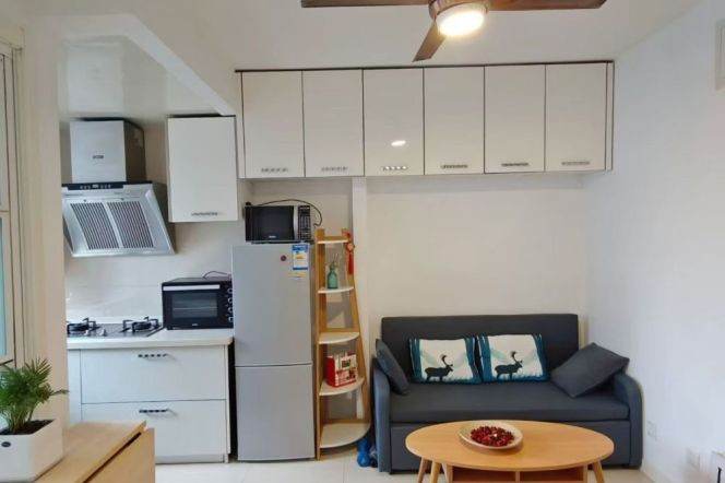 Lovely modern 1BR apt with elevator near West Nanjing rd  