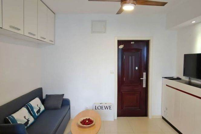 Lovely modern 1BR apt with elevator near West Nanjing rd  