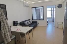 jinshajiang rd station one bedroom