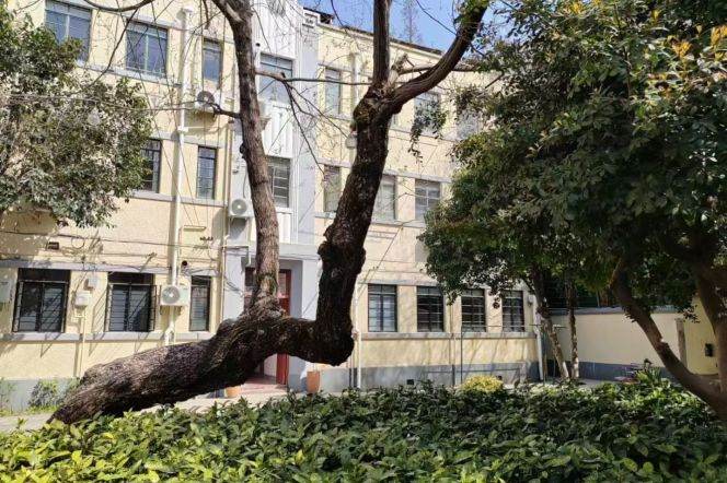 3.4 meters high-ceiling 2br near Line 10/11 Jiaotong University St.