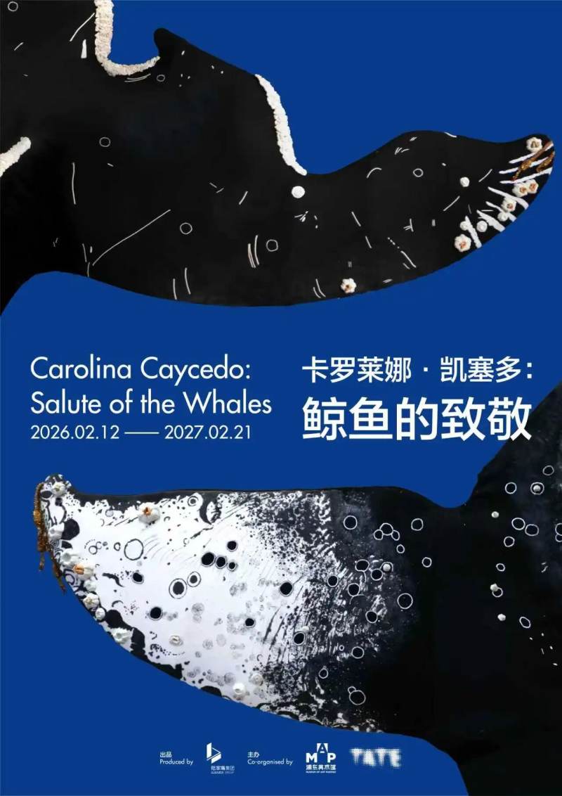 Carolina Caycedo: Salute of the Whales